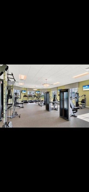 Furnished Finder property 420537_1 photo 15