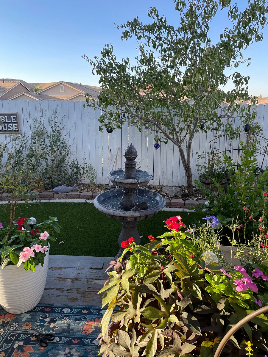 Furnished Finder property 420541_1 photo 3