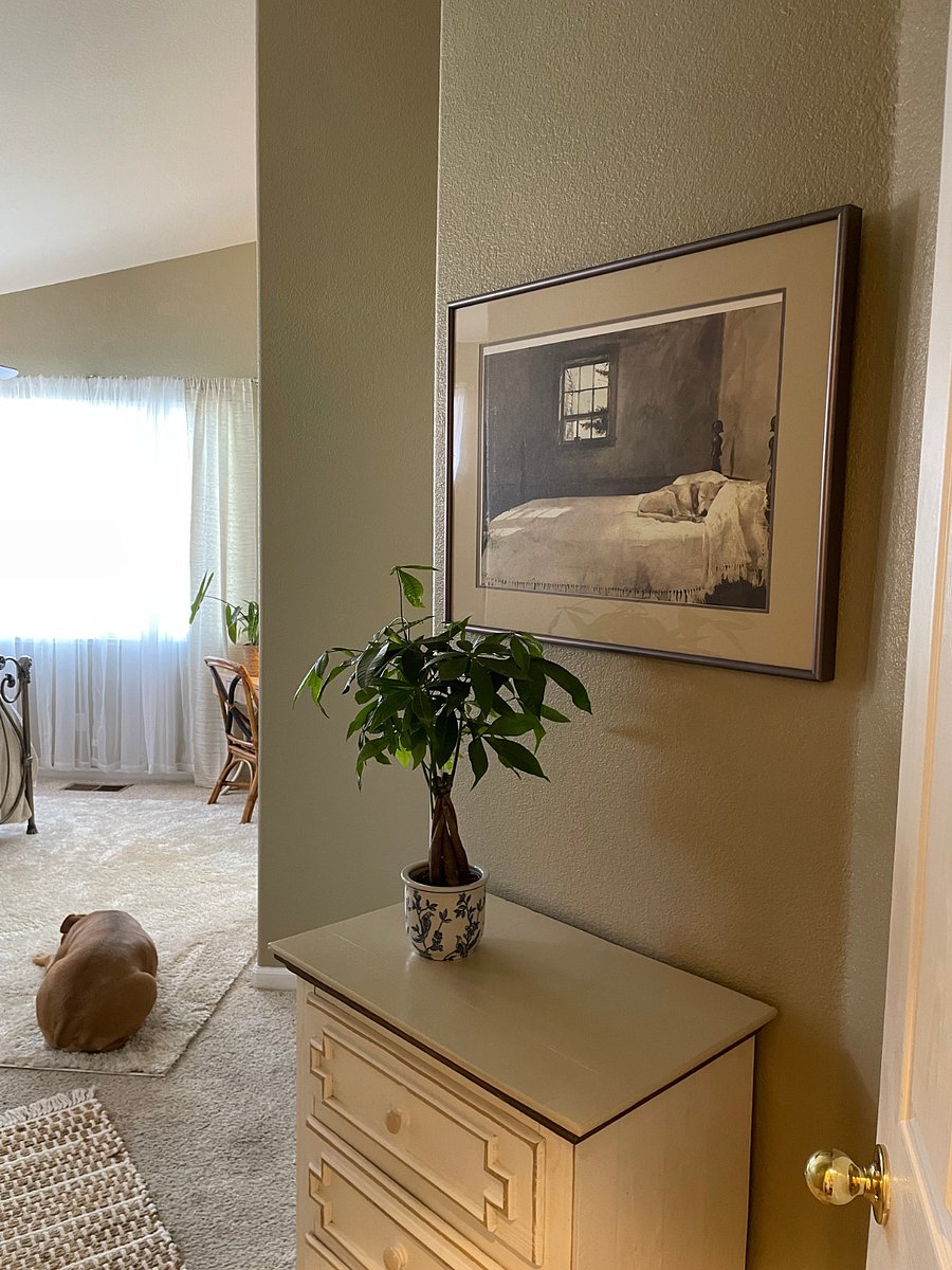 bedroom and bathroom get lots of natural light. Black-out drapes are in the bedroom.