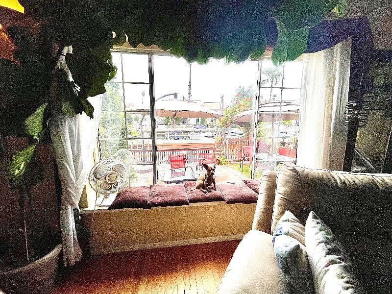 Furnished Finder property 420544_1 photo 6
