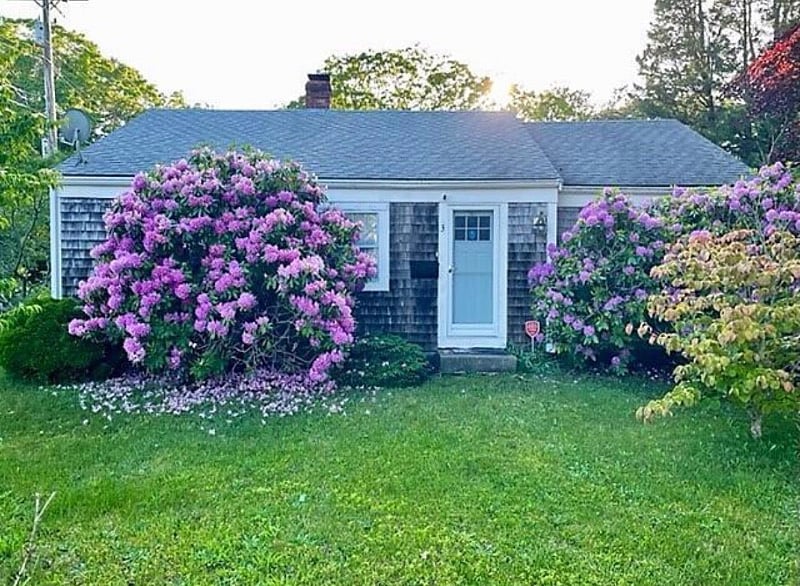 Front yard and front view.