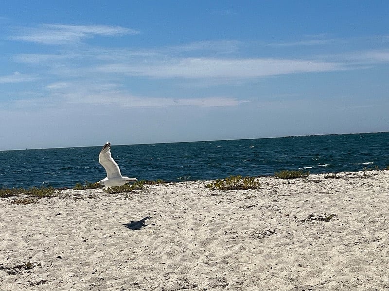 Nearby Keyes Beach