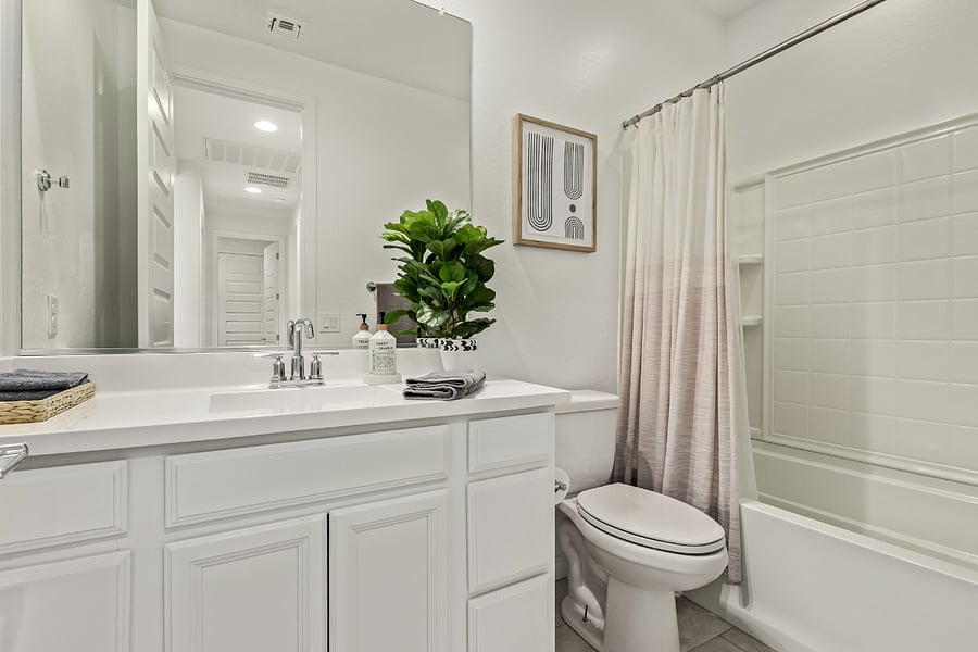 Guest Bathroom - Drop in tub