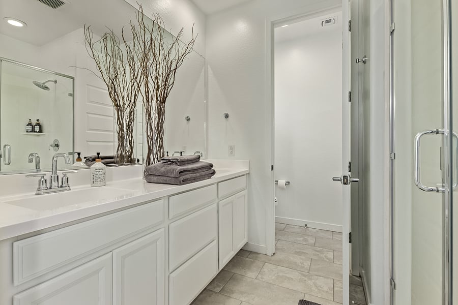 Master Bedroom Bathroom