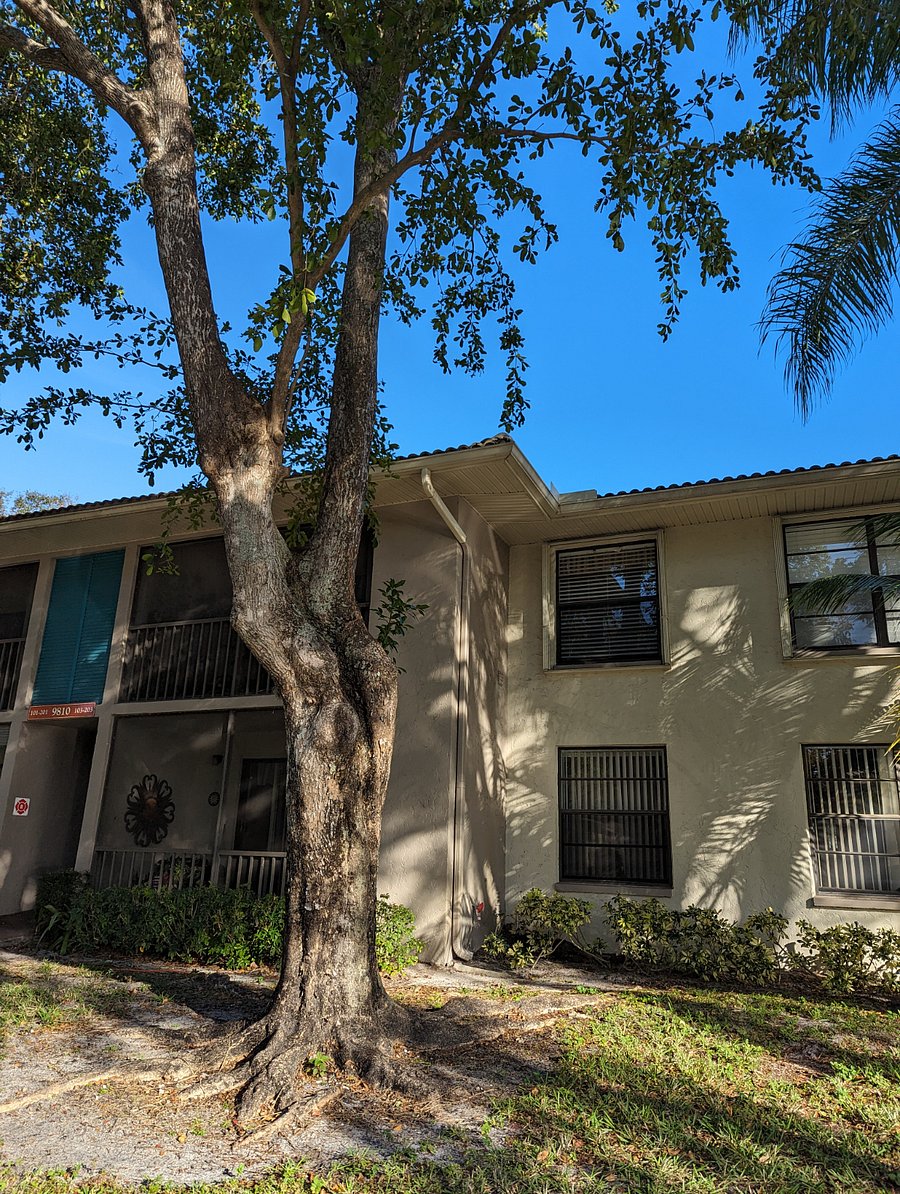 Furnished Finder property 420703_1 photo 5
