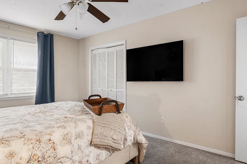 Furnished Finder property 420713_1 photo 15