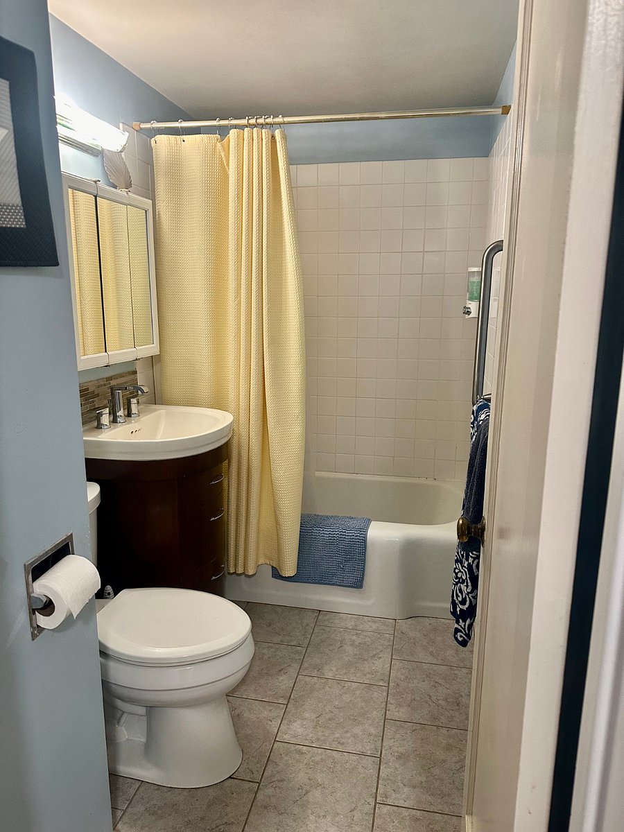 Shared bathroom with safety grab bar
