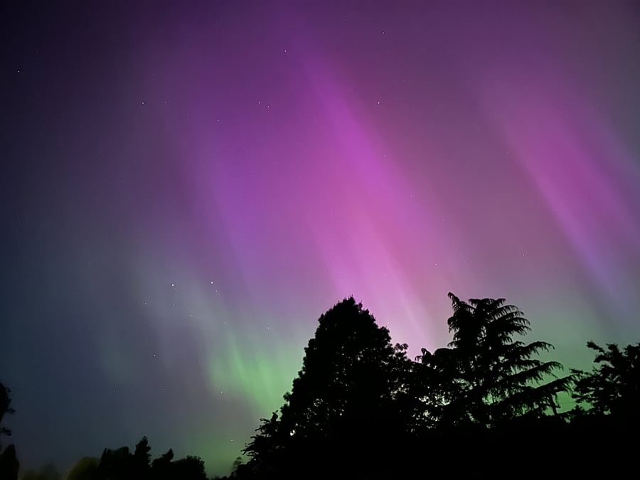 Northern Lights in backyard!