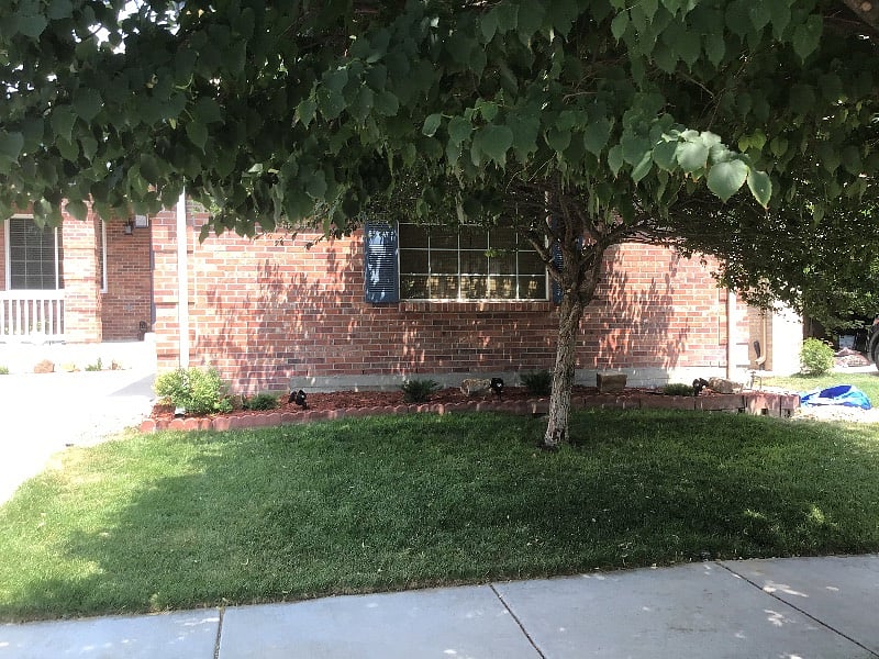 Furnished Finder property 420784_1 photo 10