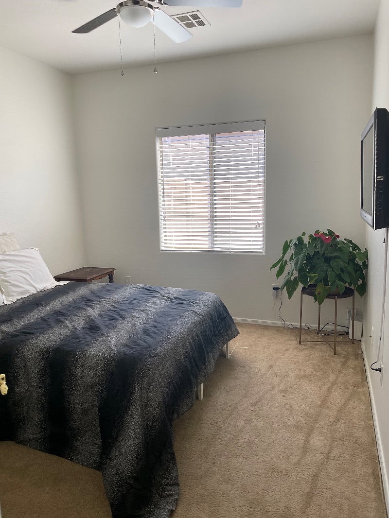 Furnished Finder property 420980_1 photo 4