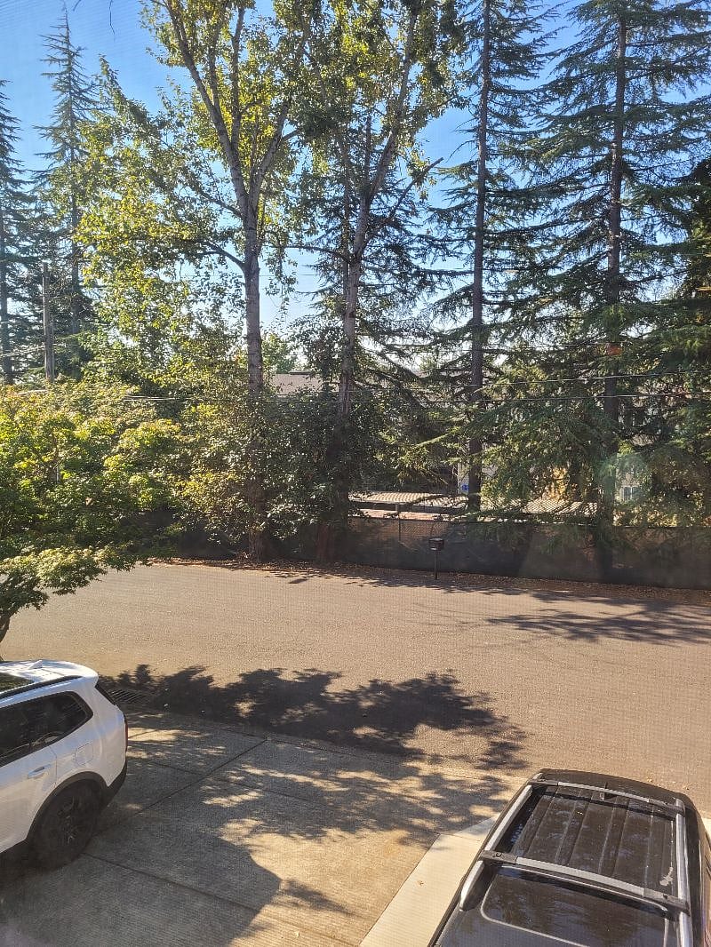 View from front window of apartment
