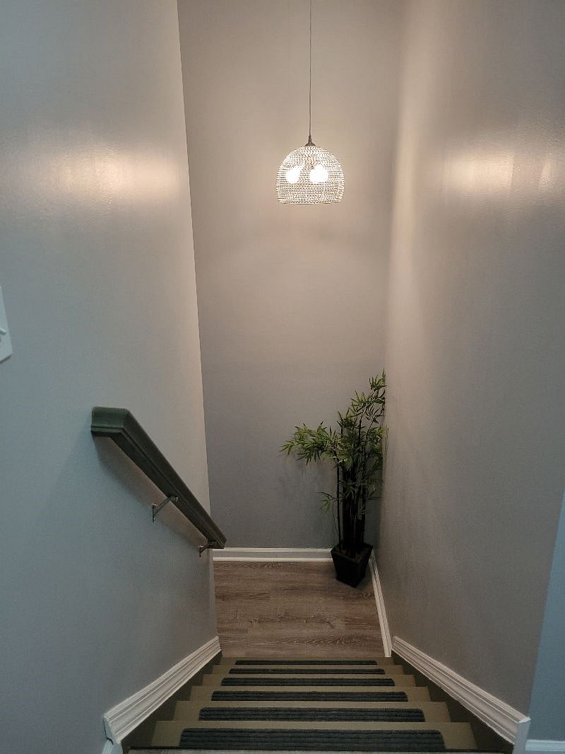 Furnished Finder property 421285_1 photo 25