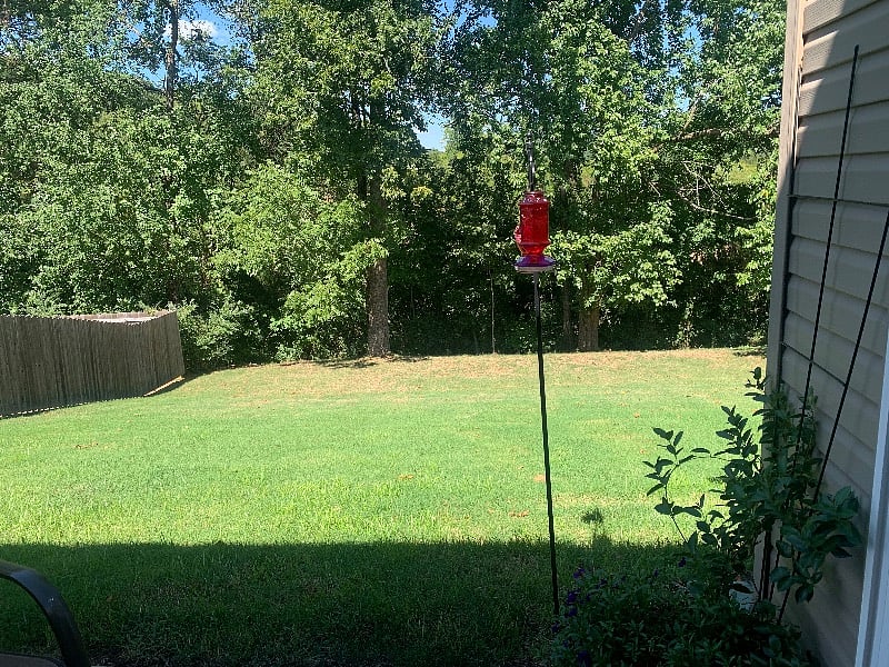 Furnished Finder property 421395_1 photo 11