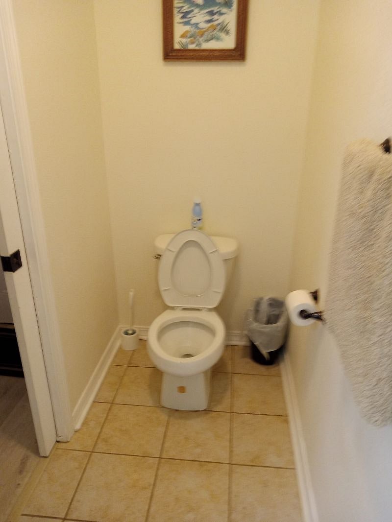 Furnished Finder property 421438_1 photo 15
