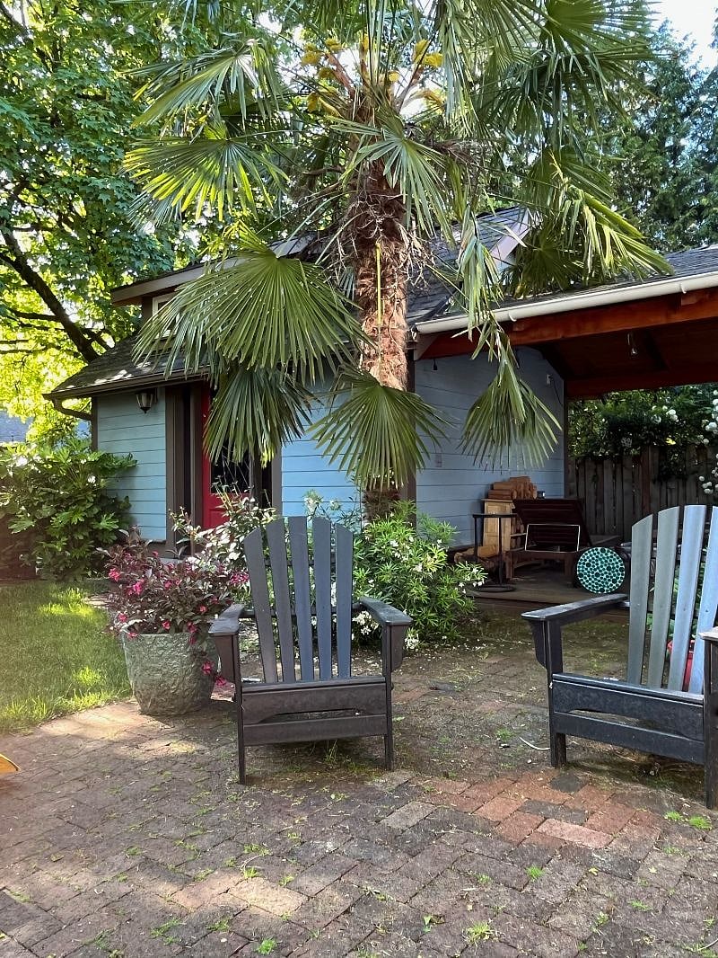 Backyard & Patio