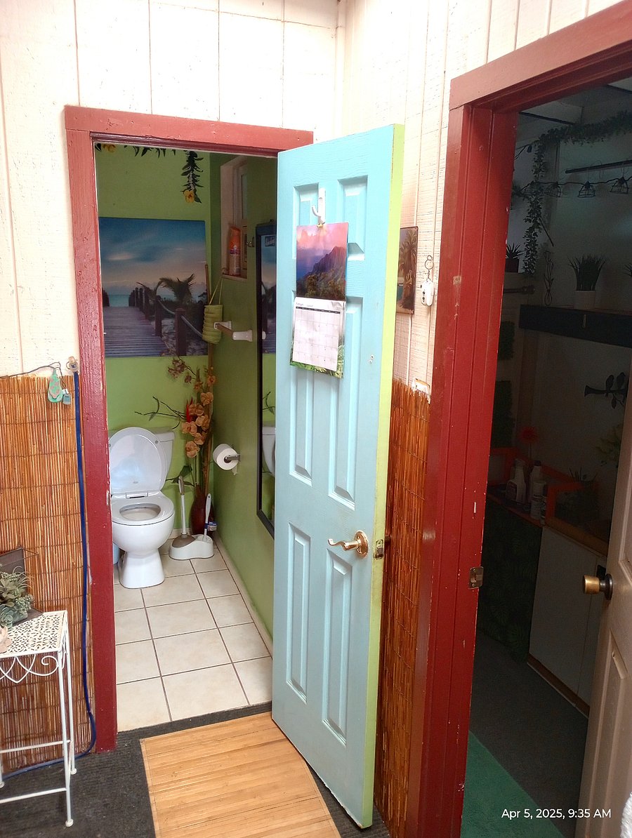Shared Detached Bathroom (shower is separate, in huge Laundry Room, which is to the R.)