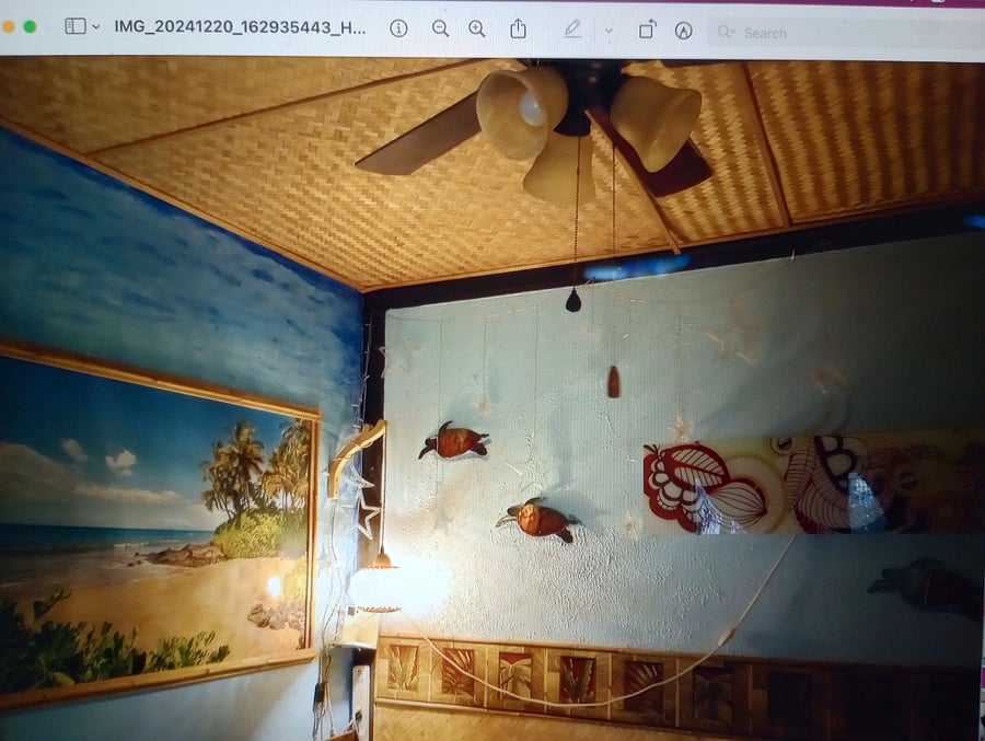 Low lighting option, beautiful Hawaiian decor. No carpeting. Ceiling Fan w/lights