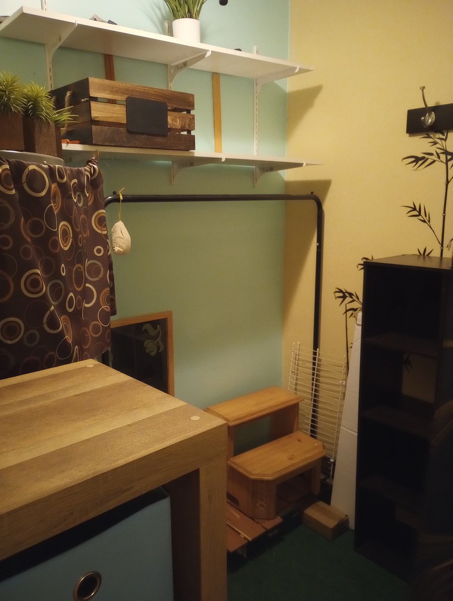 Walk in closet, cubby storage for 2-3 max suitcases