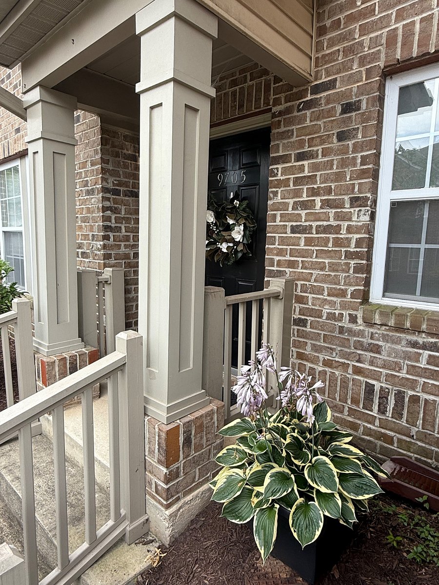 Furnished Finder property 421647_1 photo 3