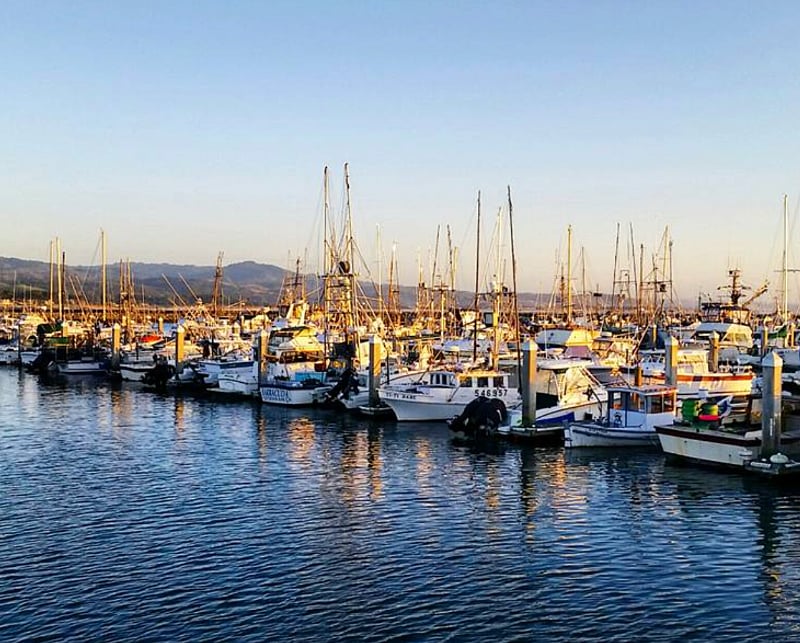 The local harbor selling fresh seafood and crab right off the boat