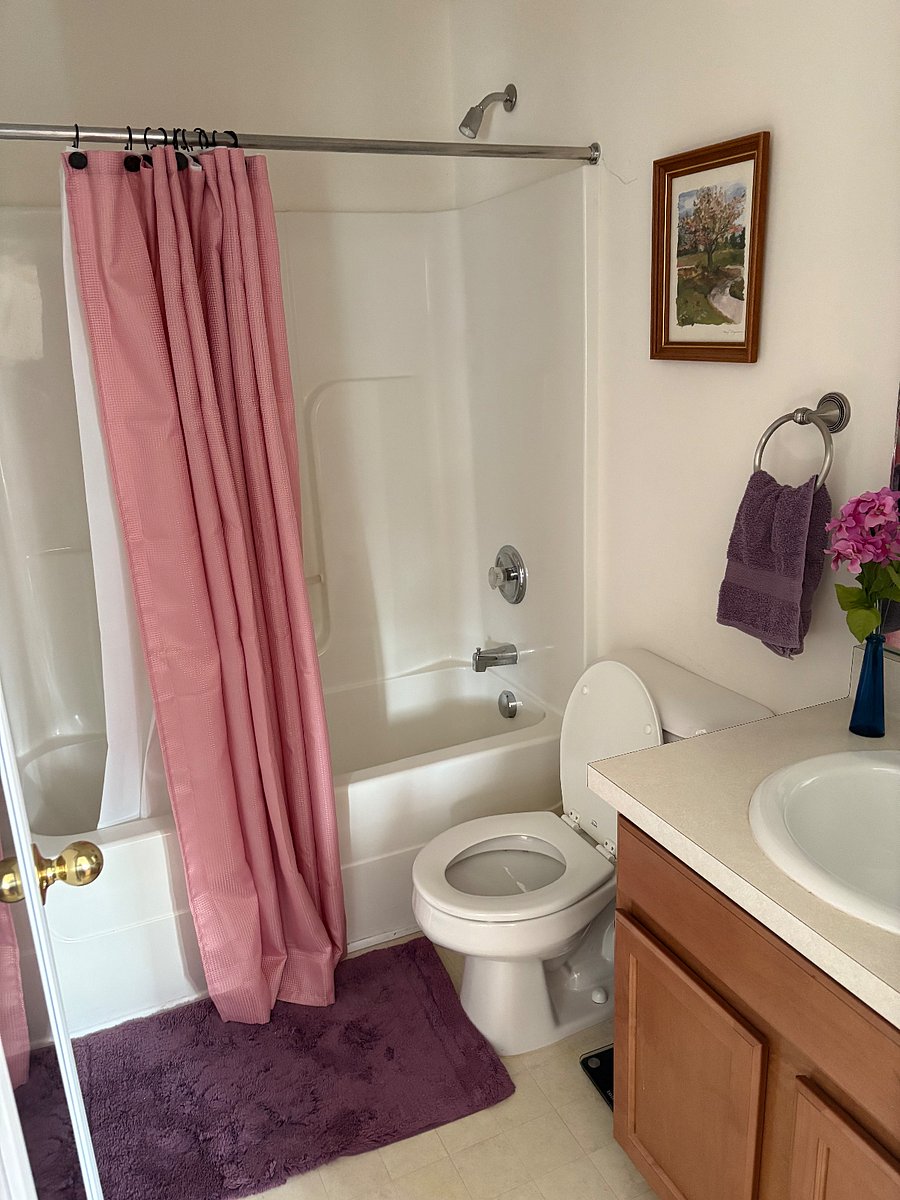 Furnished Finder property 421803_1 photo 12