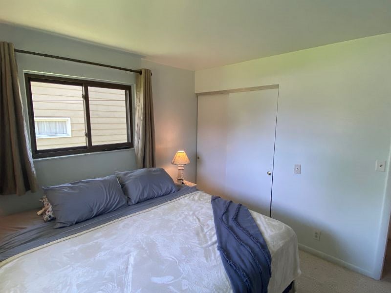 Furnished Finder property 421839_1 photo 20
