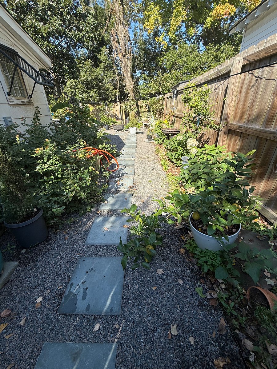 Furnished Finder property 421917_2 photo 11