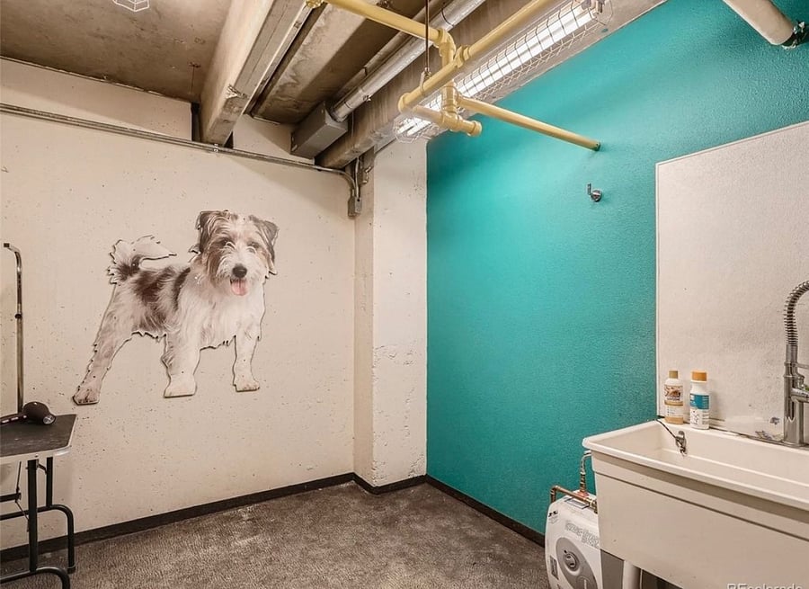 Dog wash station