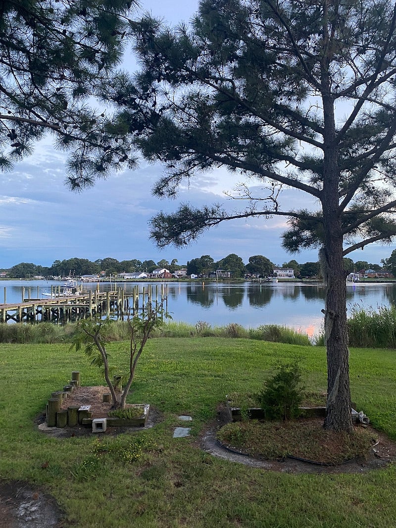 Furnished Finder property 422169_1 photo 11
