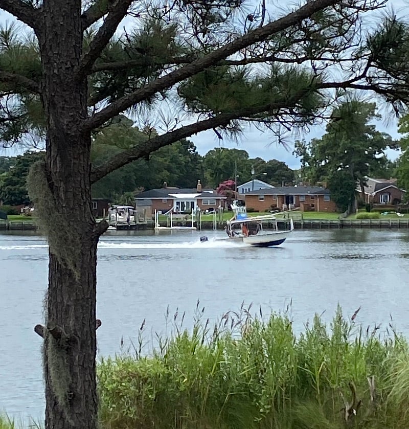 Watch the boats go by 