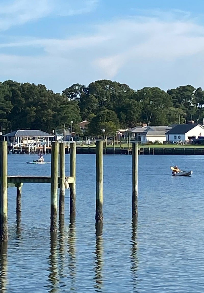 Paddle board or kayak out back!