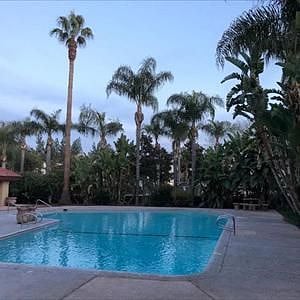 Furnished Finder property 422261_1 photo 26