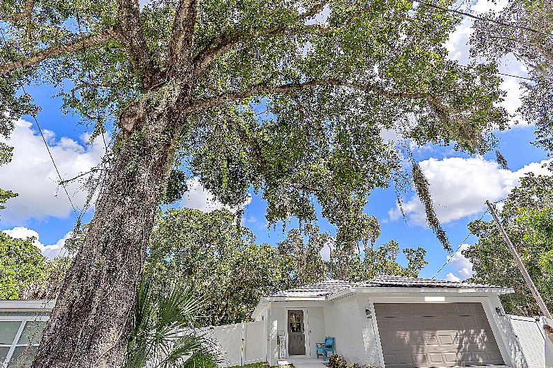 Furnished Finder property 422492_1 photo 3