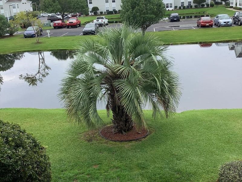 Furnished Finder property 422560_1 photo 10