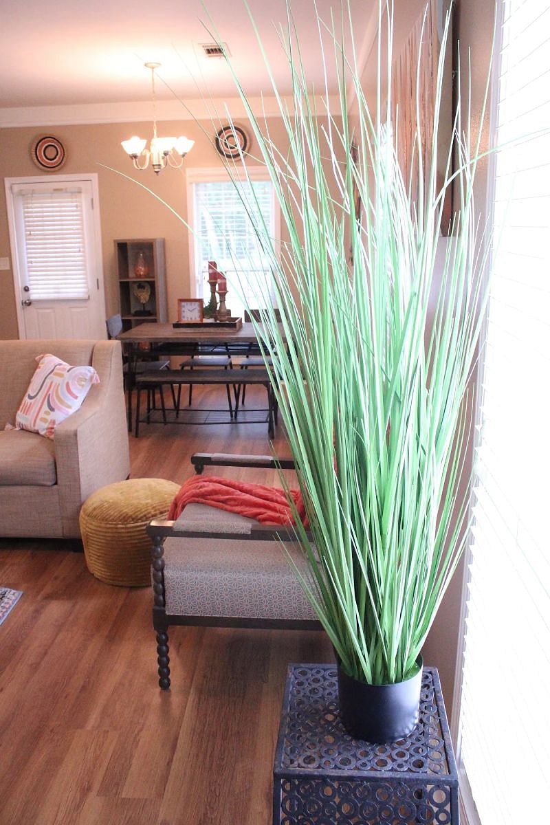 Furnished Finder property 422619_1 photo 3