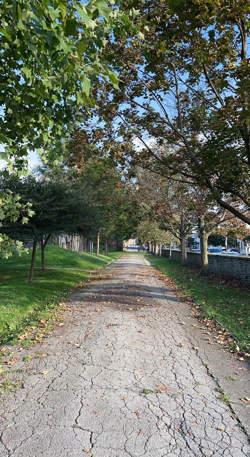 View on a walk at nearby Arsenal Park!