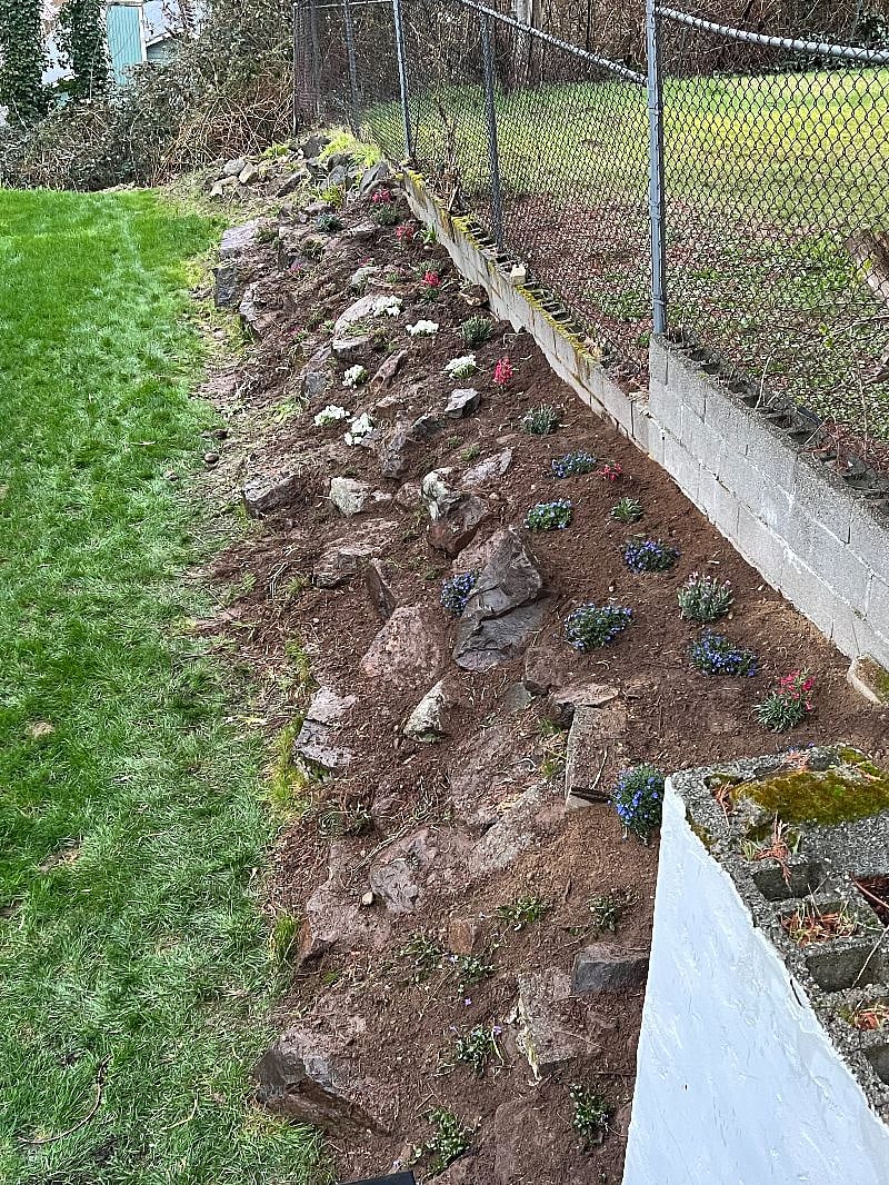Back yard is L-Shaped and wraps around the house