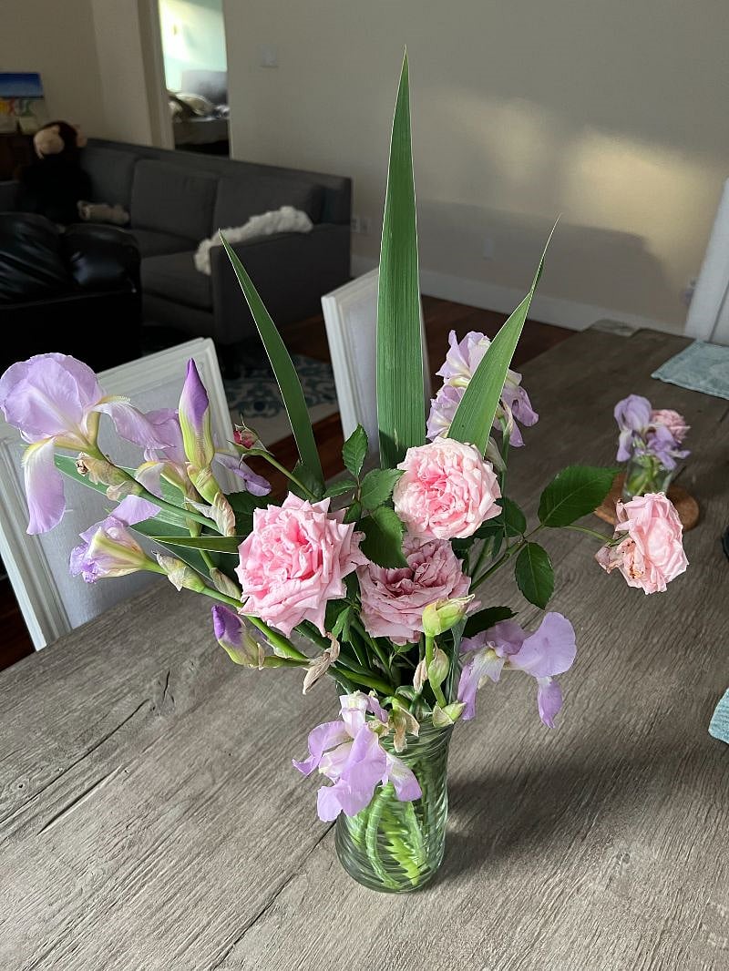 Roses and irises from the garden.
