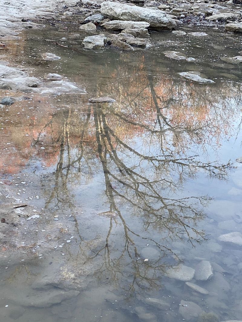 Walnut Creek in the autumn reflects a shade tree.