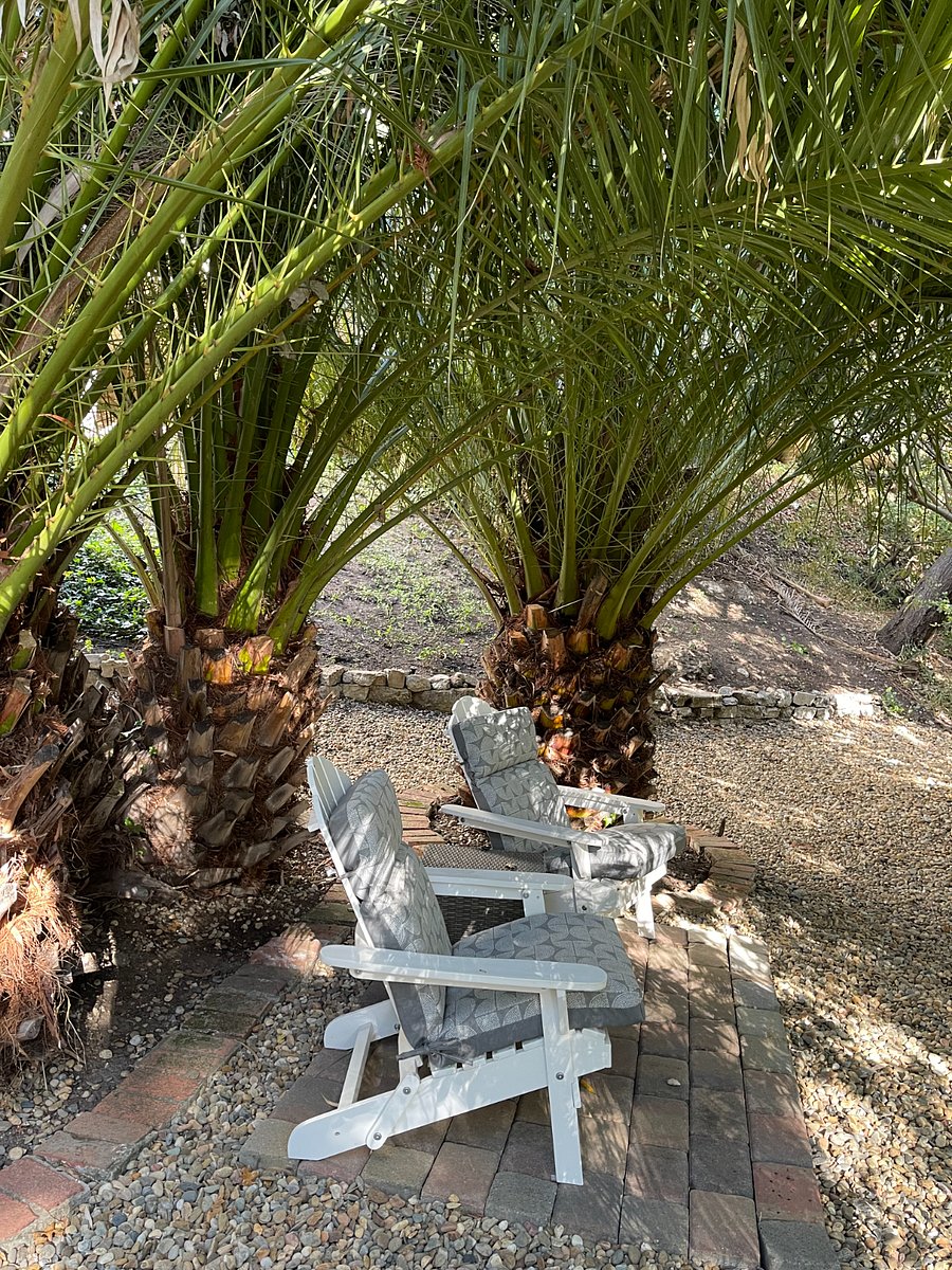 Furnished Finder property 423085_1 photo 15