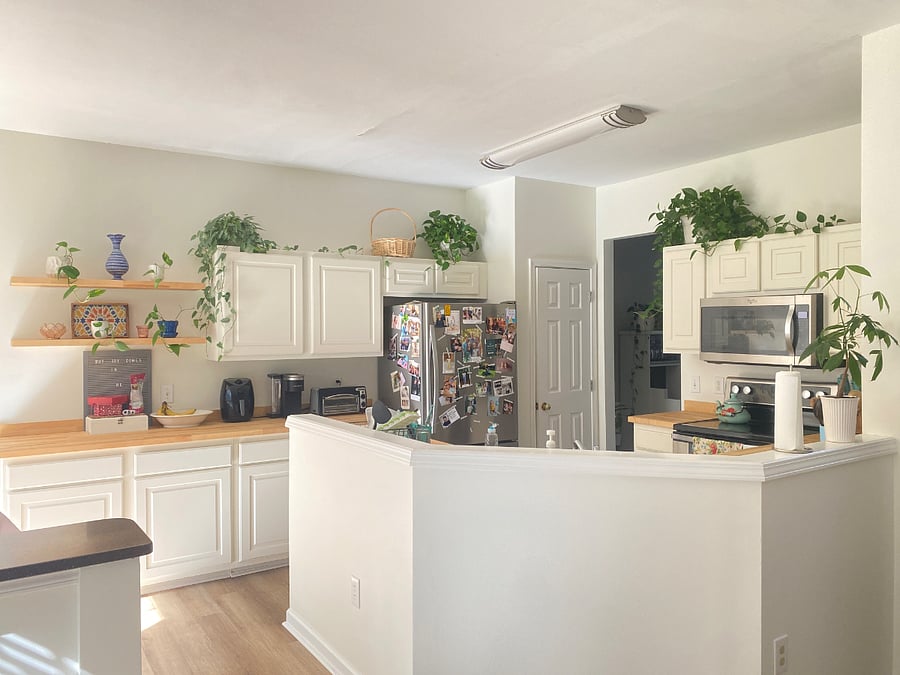 Furnished Finder property 423137_1 photo 12