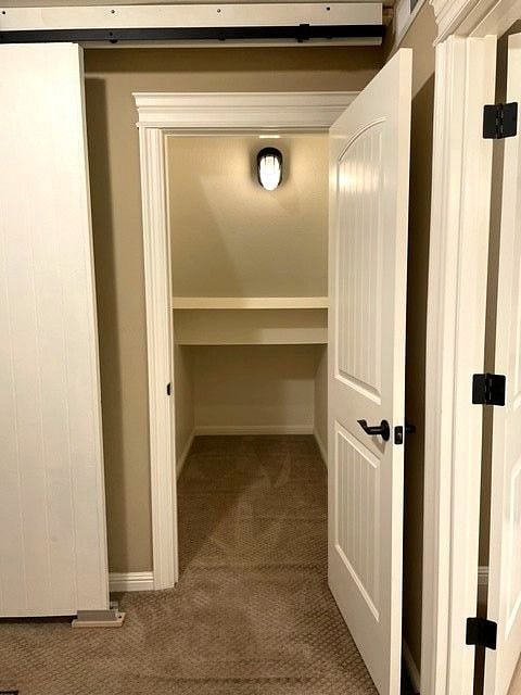 In Apartment Storage Big Enough for Bike and More!