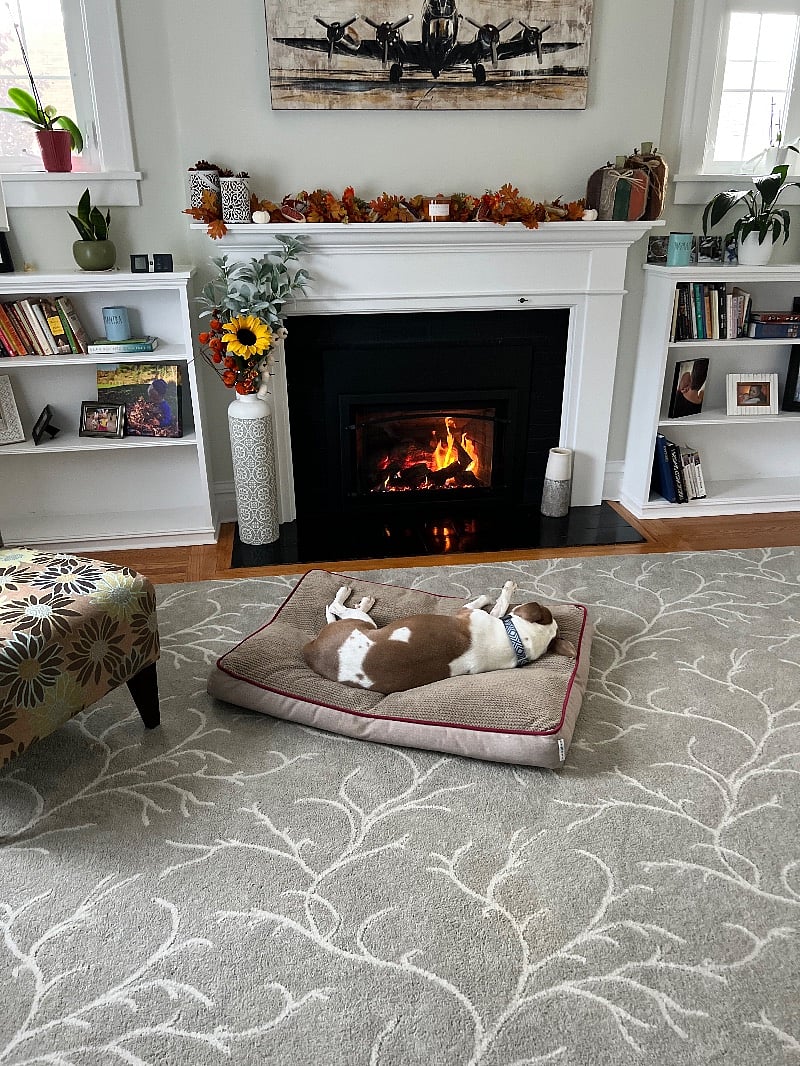 Fireplace where Piper and Lucy spend a lot of their time in the winter months.