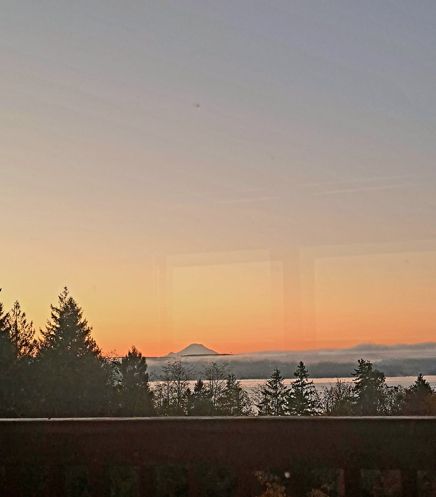 Furnished Finder property 423605_1 photo 27