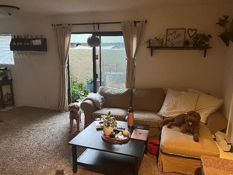 Furnished Finder property 423620_1 photo 5