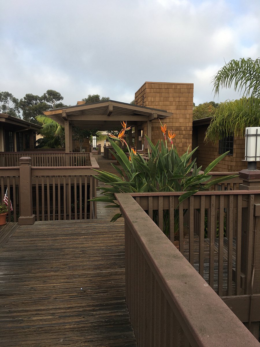 Furnished Finder property 423742_1 photo 13