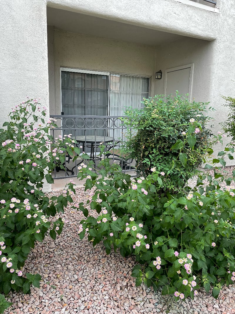 Furnished Finder property 423892_1 photo 10