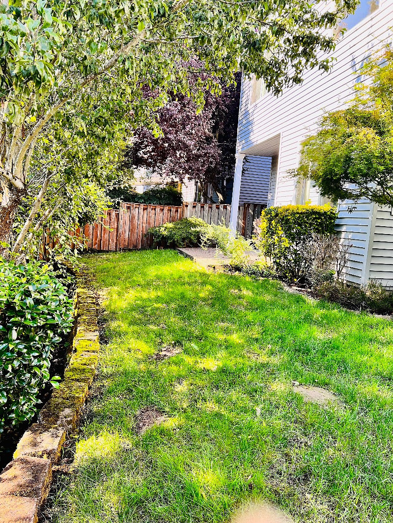 Backyard with wilderness behind.