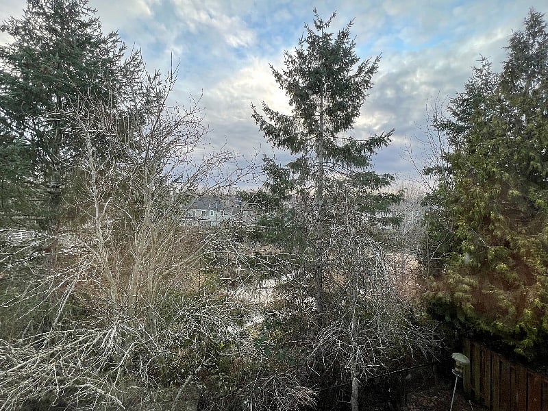 view from master bedroom