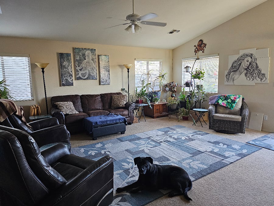 Furnished Finder property 424185_1 photo 3